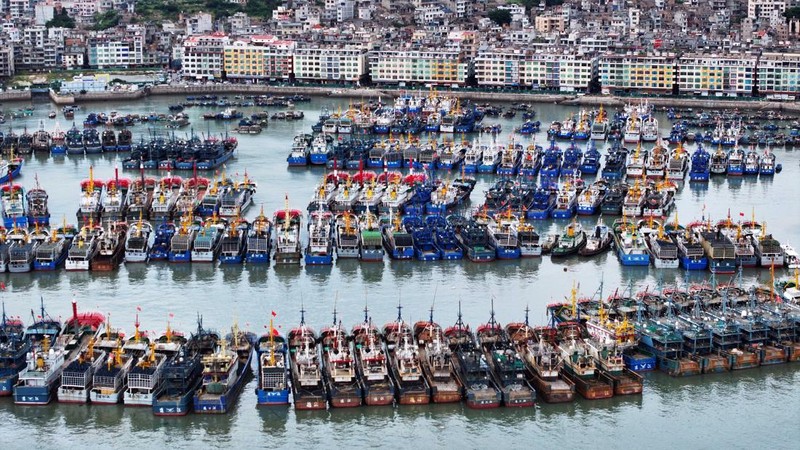 Sebuah pemandangan dari drone memperlihatkan berbagai kapal yang sedang bersandar di Pelabuhan Perikanan Pusat Nasional Huangqi saat Topan Dolphin mendekat, di kota Huangqi, Lianjiang, Fuzhou, Provinsi Fujian, Tiongkok, pada 8 Agustus 2026.