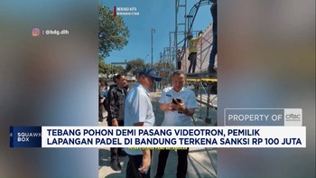 Tebang Pohon Untuk Videotron, Pemilik Padel Kena Sanksi Rp 100 Juta