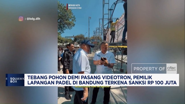 Tebang Pohon Untuk Videotron, Pemilik Padel Kena Sanksi Rp 100 Juta