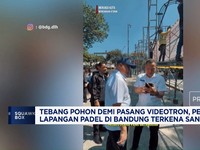 Tebang Pohon Untuk Videotron, Pemilik Padel Kena Sanksi Rp 100 Juta