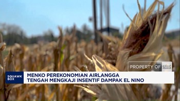 Menko Perekonomian Tengah Mengkaji Insentif Dampak El Nino