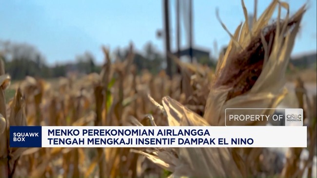 Video: Menko Perekonomian Tengah Mengkaji Insentif Dampak El Nino