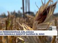 Menko Perekonomian Tengah Mengkaji Insentif Dampak El Nino
