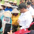 Menteri Pertanian (Mentan) Amran Sulaiman saat dalam kunjungannya ke Gresik, Jawa Timur, juga mengecek langsung lahan pertanian yang dilaporkan terdampak kekeringan lebih dari 200 hektare. (Dok. Humas Kementan)