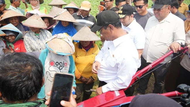 Amran Mau Bagi-Bagi Alsintan Gratis untuk Buruh Tani, Caranya Begini