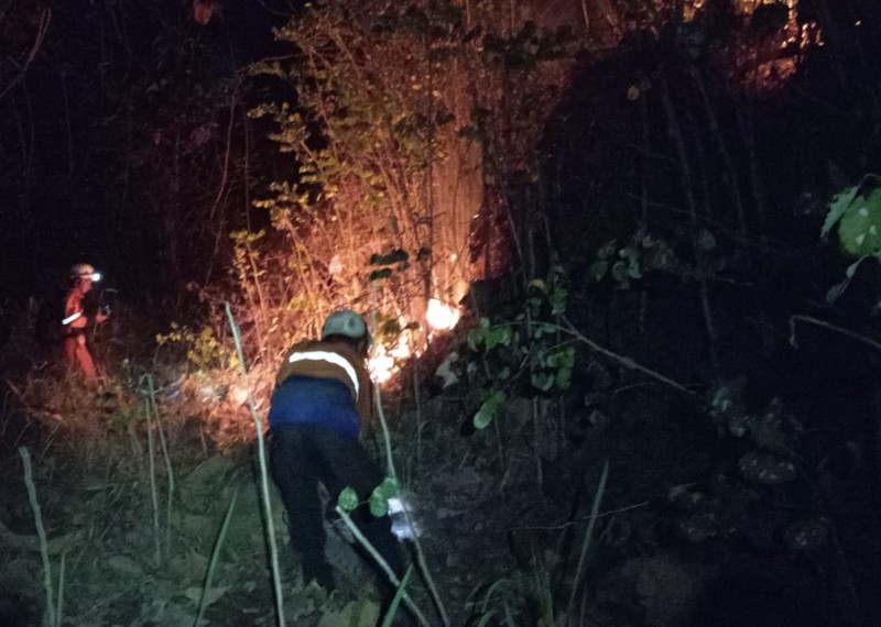Petugas berupaya memadamkan api yang membakar Bukit Pindul, Dukuh Girisono RT 03 RW 05, Desa Gunung Gajah, Kecamatan Bayat, Kabupaten Klaten, Provinsi Jawa Tengah pada Senin (10/8). (Dok. BPBD Kab. Klaten)