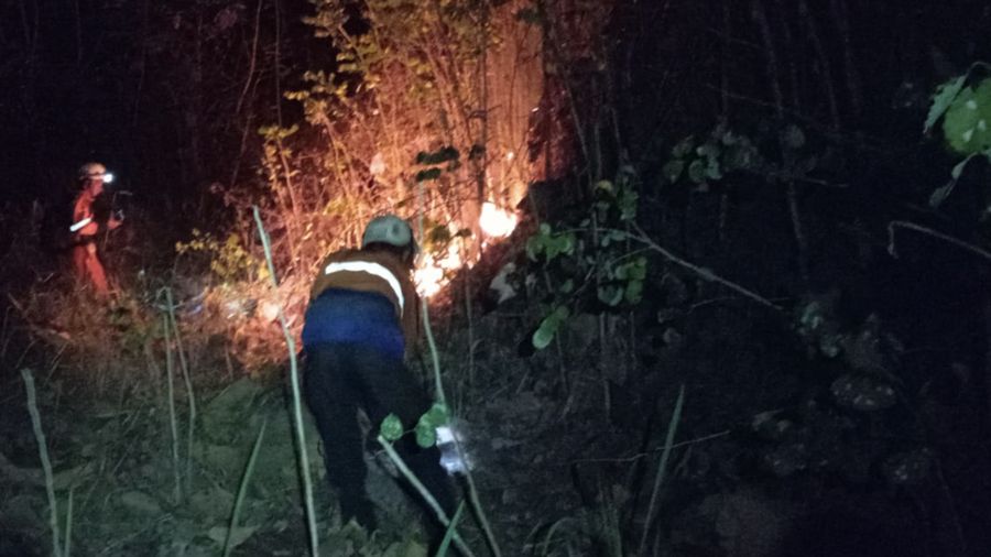 Petugas berupaya memadamkan api yang membakar Bukit Pindul, Dukuh Girisono RT 03 RW 05, Desa Gunung Gajah, Kecamatan Bayat, Kabupaten Klaten, Provinsi Jawa Tengah pada Senin (10/8). (Dok. BPBD Kab. Klaten)