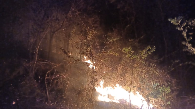 Petugas berupaya memadamkan api yang membakar Bukit Pindul, Dukuh Girisono RT 03 RW 05, Desa Gunung Gajah, Kecamatan Bayat, Kabupaten Klaten, Provinsi Jawa Tengah pada Senin (10/8). (Dok. BPBD Kab. Klaten)