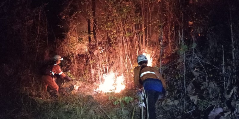 Petugas berupaya memadamkan api yang membakar Bukit Pindul, Dukuh Girisono RT 03 RW 05, Desa Gunung Gajah, Kecamatan Bayat, Kabupaten Klaten, Provinsi Jawa Tengah pada Senin (10/8). (Dok. BPBD Kab. Klaten)