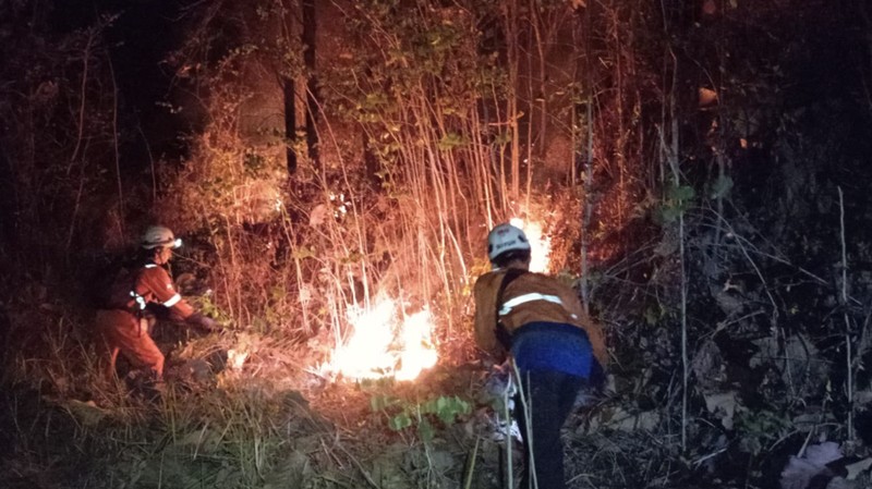 Petugas berupaya memadamkan api yang membakar Bukit Pindul, Dukuh Girisono RT 03 RW 05, Desa Gunung Gajah, Kecamatan Bayat, Kabupaten Klaten, Provinsi Jawa Tengah pada Senin (10/8). (Dok. BPBD Kab. Klaten)