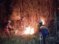 Panas Mendidih Bawa Petaka, RI Kebakaran dari Sumatra-Papua Ribuan Ha