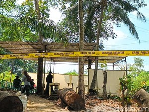 Sedikit Lagi! Menanti Hasil Pemeriksaan Kematian Misterius Sutrimo
