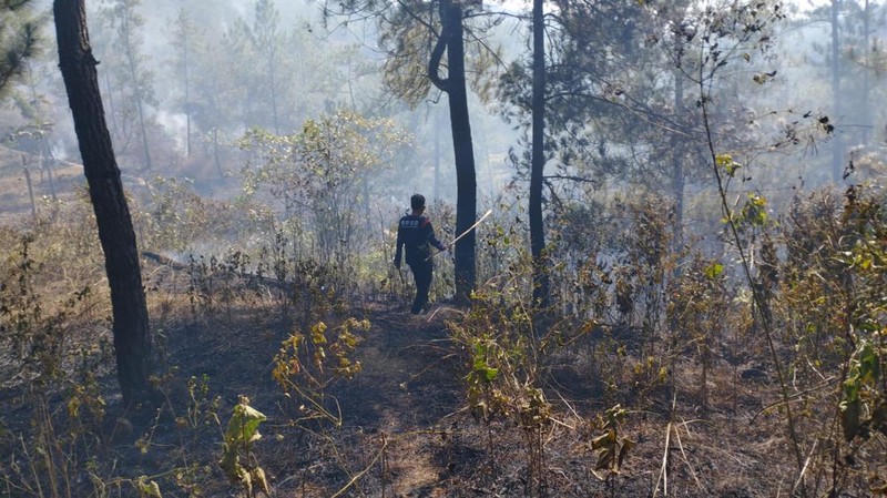 Tim BPBD Kabupaten Banyumas berupaya memadamkan api dengan peralatan sederhana. (Dok. BPBD Kabupaten Banyumas)