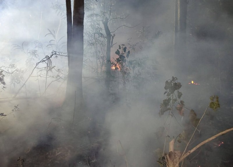 Petugas berupaya memadamkan api yang membakar Bukit Pindul, Dukuh Girisono RT 03 RW 05, Desa Gunung Gajah, Kecamatan Bayat, Kabupaten Klaten, Provinsi Jawa Tengah pada Senin (10/8). (Dok. BPBD Kab. Klaten)