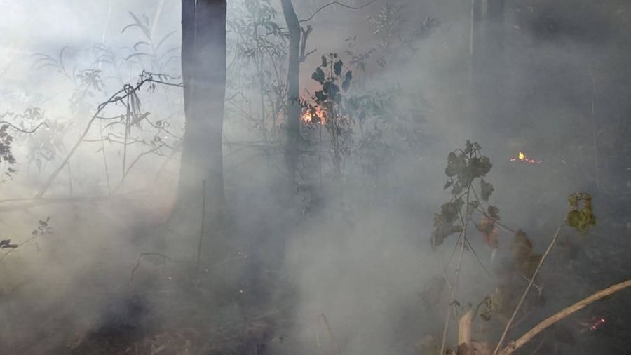 Upaya petugas gabungan dalam memadamkan api yang membakar kawasan bukit di Dusun Waililan, Negeri Bula, Kecamatan Bula, Kabupaten Seram Bagian Timur, Provinsi Maluku, Senin (10/8). (Dok. BPBD Kab. Seram Bagian Timur)
