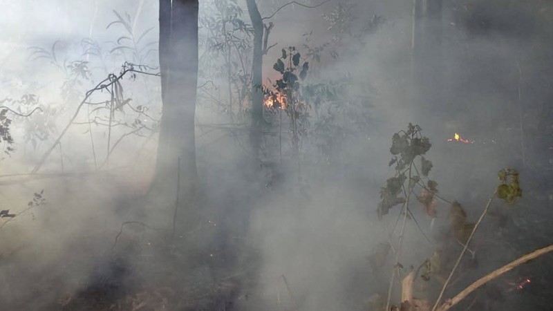 Upaya petugas gabungan dalam memadamkan api yang membakar kawasan bukit di Dusun Waililan, Negeri Bula, Kecamatan Bula, Kabupaten Seram Bagian Timur, Provinsi Maluku, Senin (10/8). (Dok. BPBD Kab. Seram Bagian Timur)