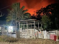 Upaya petugas gabungan dalam memadamkan api yang membakar kawasan bukit di Dusun Waililan, Negeri Bula, Kecamatan Bula, Kabupaten Seram Bagian Timur, Provinsi Maluku, Senin (10/8). (Dok. BPBD Kab. Seram Bagian Timur)