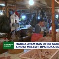 Harga Ayam Ras di 188 Kabupaten & Kota Melejit, BPS Buka Suara