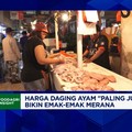 Harga Daging Ayam Meroket, Efek Emak-emak "Rebutan" Dengan Dapur MBG?