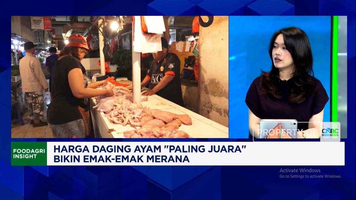 Video: Harga Daging Ayam Meroket Efek MBG, Emak-emak Menjerit