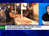 Harga Daging Ayam Meroket, Efek Emak-emak "Rebutan" Dengan Dapur MBG?