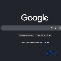 Homepage Google Search