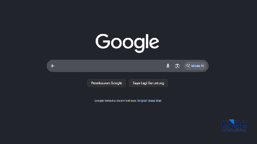 Homepage Google Search