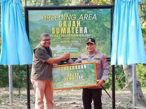 Hari Gajah Sedunia, Kapolda Riau Hadiahkan Kandang Breeding di PLG Minas