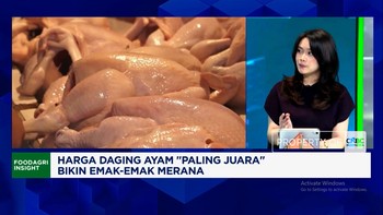 MBH - Kenaikan Harga Pakan Dorong Lonjakan Harga Daging Ayam, Kenapa?