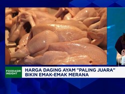MBH - Kenaikan Harga Pakan Dorong Lonjakan Harga Daging Ayam, Kenapa?