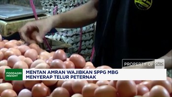 Mentan Amran Wajibkan SPPG MBG Menyerap Telur Peternak