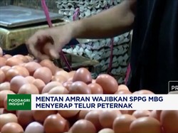 Mentan Amran Wajibkan SPPG MBG Menyerap Telur Peternak