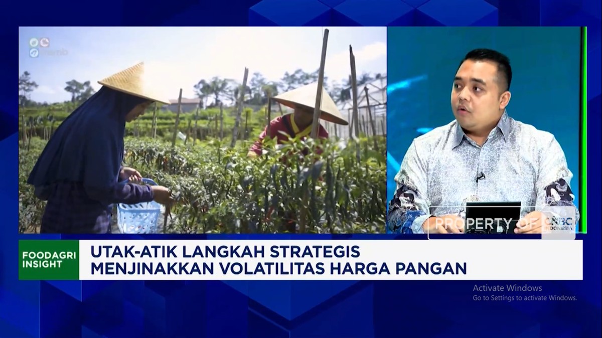 Video: Pakai Analisa Data dan Teknologi, Distribusi Cabai Makin Terukur