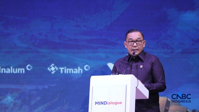 Todotua: Indonesia Punya Sumber Energi Hijau Besar, Tapi...