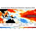 Anomali suhu muka laut dasarian 1 Agustus 2026 yang dirilis pada Kamis, (13/8/2026). (Dok. BMKG)