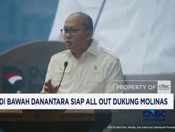 Bank di Bawah Danantara Siap All Out Dukung Molinas