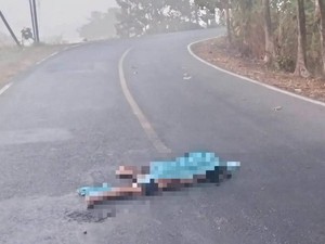 Wanita Tewas Terkapar di Jalintim Tulang Bawang, Diduga Korban Tabrak Lari