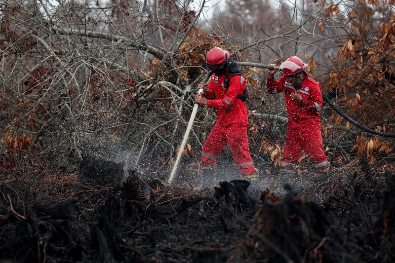Kebakaran hutan dan lahan di Desa Tumbang Nusa, Pulang Pisau, Provinsi Kalimantan Tengah, Kamis (13/8/2026). (REUTERS/Ajeng Dinar Ulfiana)