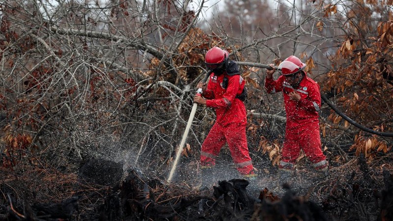 Kebakaran hutan dan lahan di Desa Tumbang Nusa, Pulang Pisau, Provinsi Kalimantan Tengah, Kamis (13/8/2026). (REUTERS/Ajeng Dinar Ulfiana)