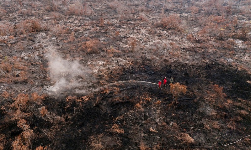 Kebakaran hutan dan lahan di Desa Tumbang Nusa, Pulang Pisau, Provinsi Kalimantan Tengah, Kamis (13/8/2026). (REUTERS/Ajeng Dinar Ulfiana)
