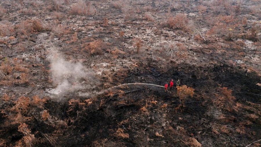 Kebakaran hutan dan lahan di Desa Tumbang Nusa, Pulang Pisau, Provinsi Kalimantan Tengah, Kamis (13/8/2026). (REUTERS/Ajeng Dinar Ulfiana) Kebakaran hutan dan lahan di Desa Tumbang Nusa, Pulang Pisau, Provinsi Kalimantan Tengah, Kamis (13/8/2026). (REUTERS/Ajeng Dinar Ulfiana)