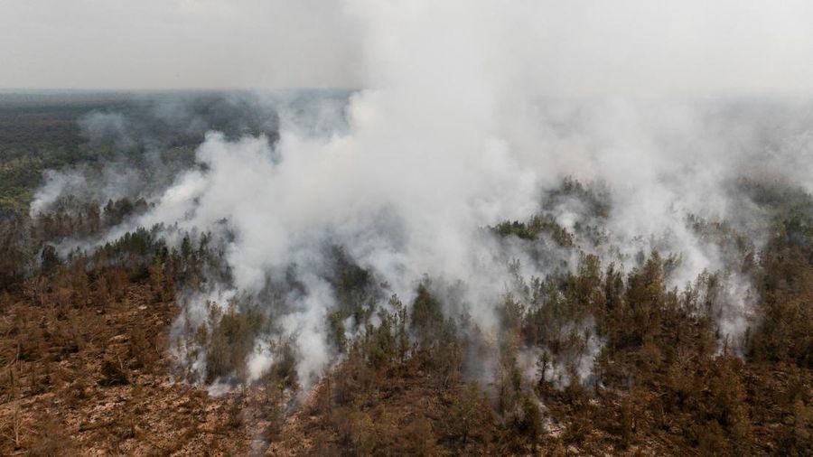 Kebakaran hutan dan lahan di Desa Tumbang Nusa, Pulang Pisau, Provinsi Kalimantan Tengah, Kamis (13/8/2026). (REUTERS/Ajeng Dinar Ulfiana) Kebakaran hutan dan lahan di Desa Tumbang Nusa, Pulang Pisau, Provinsi Kalimantan Tengah, Kamis (13/8/2026). (REUTERS/Ajeng Dinar Ulfiana)