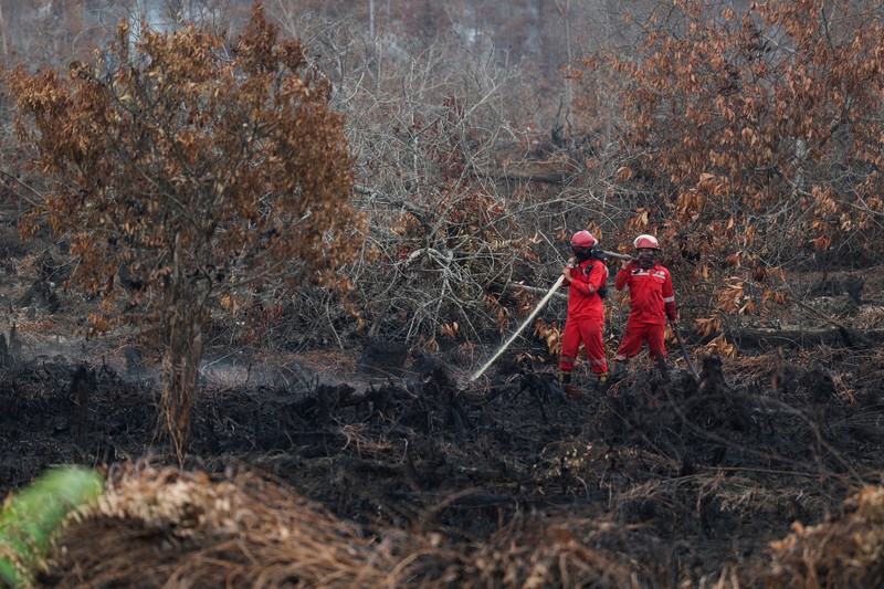 Kebakaran hutan dan lahan di Desa Tumbang Nusa, Pulang Pisau, Provinsi Kalimantan Tengah, Kamis (13/8/2026). (REUTERS/Ajeng Dinar Ulfiana)