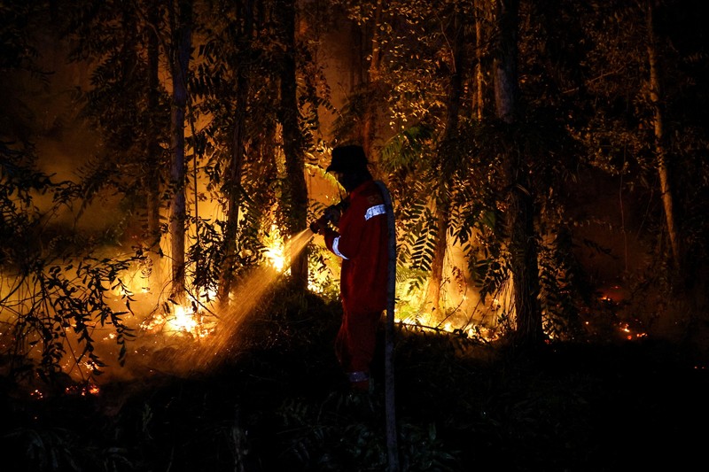 Kebakaran hutan dan lahan di Desa Tumbang Nusa, Pulang Pisau, Provinsi Kalimantan Tengah, Kamis (13/8/2026). (REUTERS/Ajeng Dinar Ulfiana)