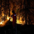 Kebakaran lahan di Pulang Pisau, Provinsi Kalimantan Tengah, Rabu (12/8/2028). (REUTERS/Ajeng Dinar Ulfiana)