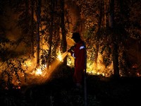 Kebakaran lahan di Pulang Pisau, Provinsi Kalimantan Tengah, Rabu (12/8/2028). (REUTERS/Ajeng Dinar Ulfiana)