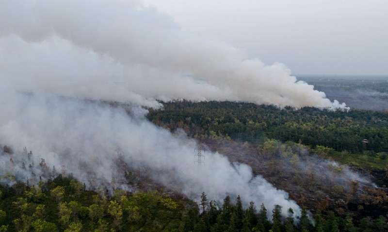 Kebakaran hutan dan lahan di Desa Tumbang Nusa, Pulang Pisau, Provinsi Kalimantan Tengah, Kamis (13/8/2026). (REUTERS/Ajeng Dinar Ulfiana)