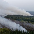 Kebakaran lahan di Pulang Pisau, Provinsi Kalimantan Tengah, Rabu (12/8/2028). (REUTERS/Ajeng Dinar Ulfiana)