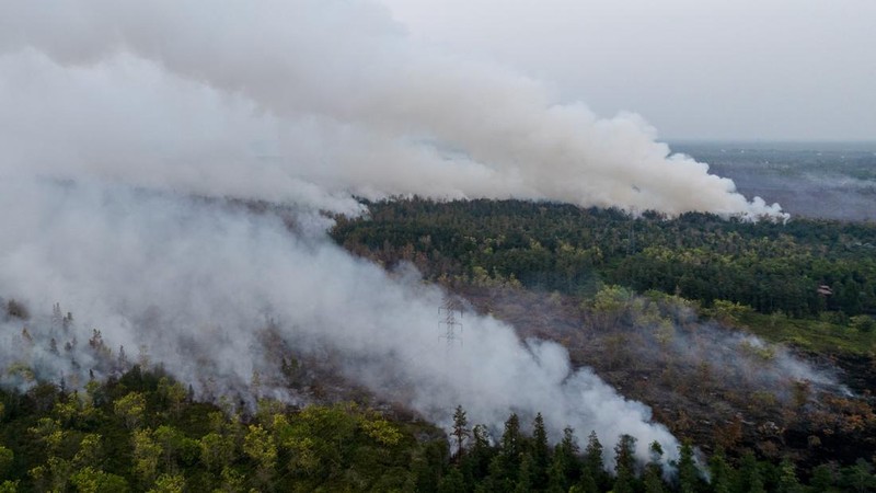 Kebakaran lahan di Pulang Pisau, Provinsi Kalimantan Tengah, Rabu (12/8/2028). (REUTERS/Ajeng Dinar Ulfiana)