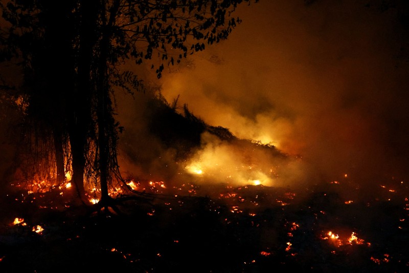 Kebakaran hutan dan lahan di Desa Tumbang Nusa, Pulang Pisau, Provinsi Kalimantan Tengah, Kamis (13/8/2026). (REUTERS/Ajeng Dinar Ulfiana)